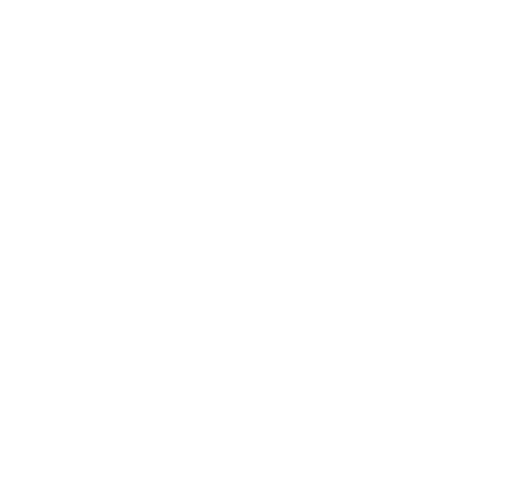 Nia African Organization